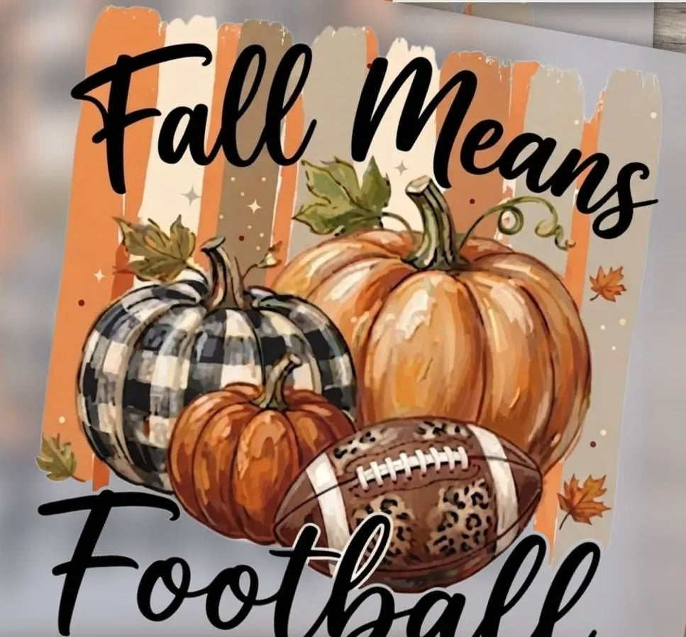 Fall Means Football Graphic Tee | Pumpkin & Football Shirt
