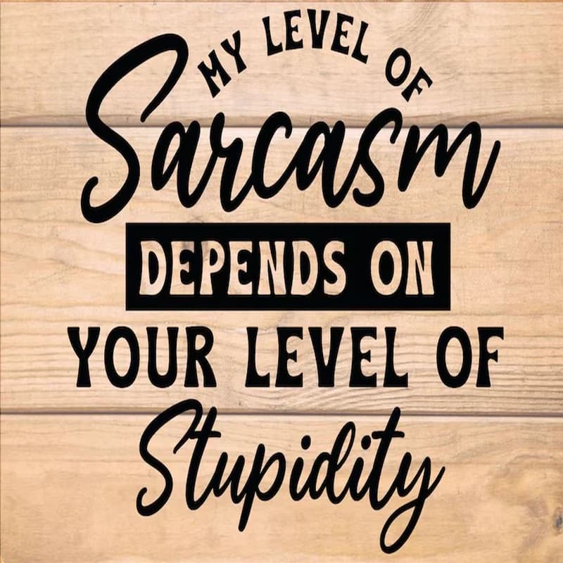 My Level of Sarcasm Graphic Tee